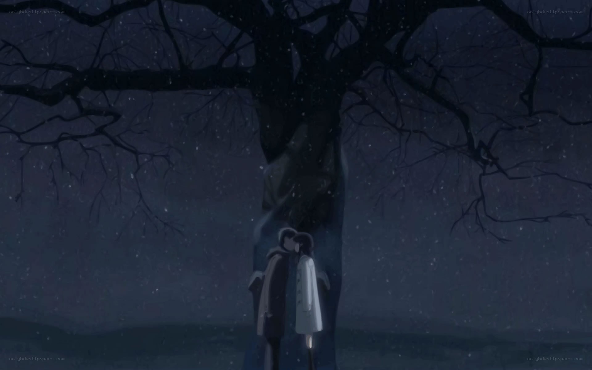 couple under a tree at night