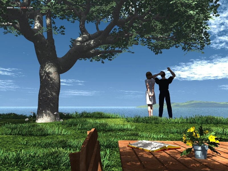 Couple under a tree by the sea