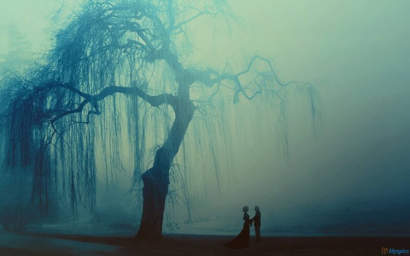 Couple under a willow tree