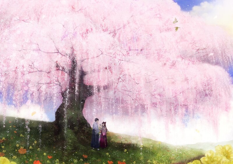 Couple under cherry blossom tree