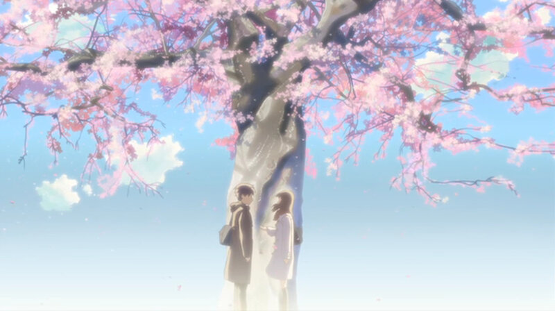 couple under cherry blossom tree