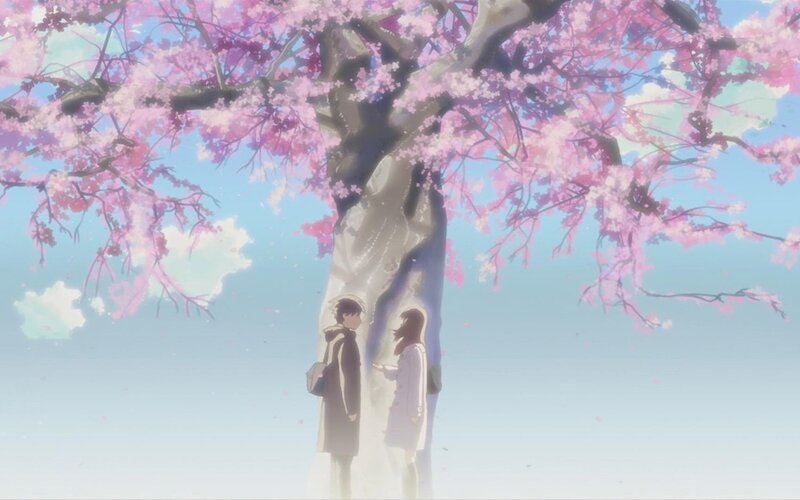 couple under cherry blossoms