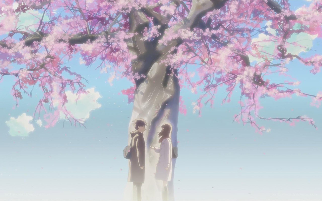couple under cherry blossoms