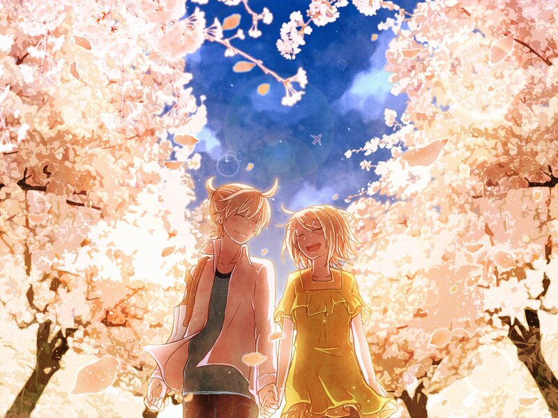 Couple under cherry blossoms