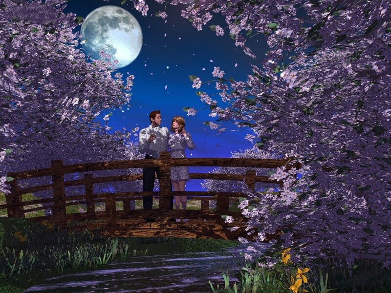 Couple under cherry blossoms at night