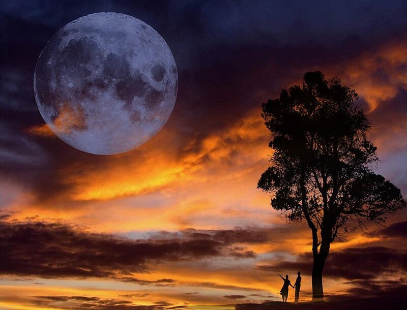 Couple under Moon