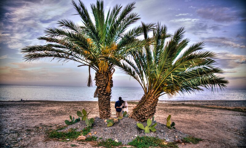 Couple under Palm Trees