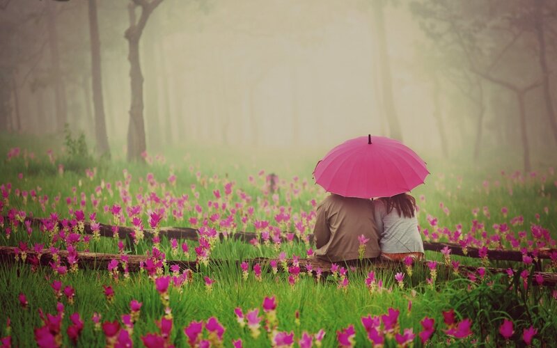 Couple under Pink Umbrella — Serene, Morning, Photograph