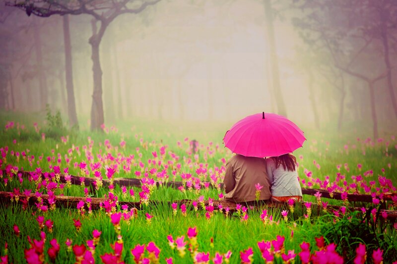 Couple under Pink Umbrella — Serene, Morning