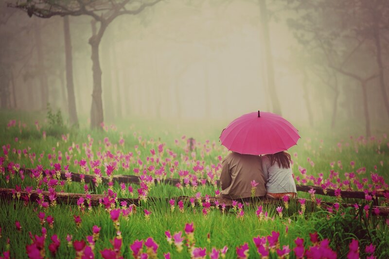 Couple under Pink Umbrella — Serene