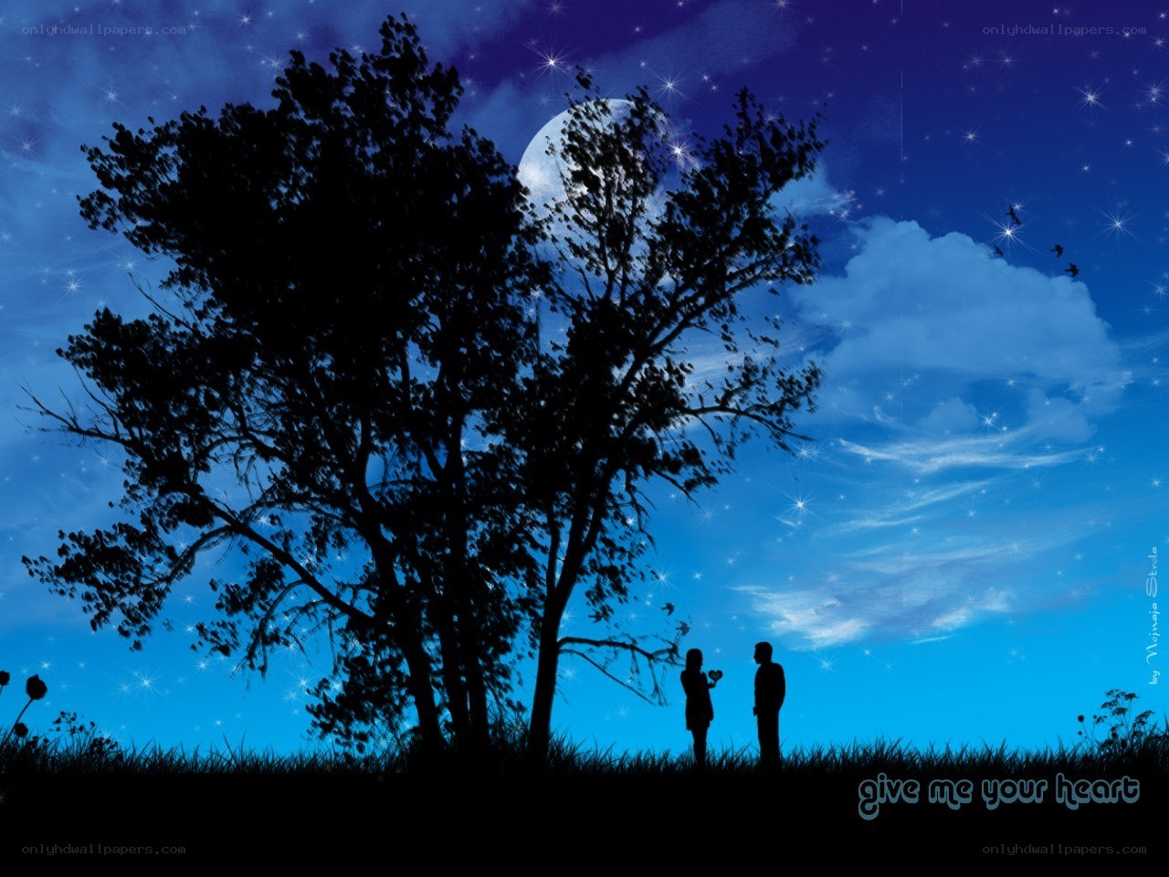 couple under starry sky
