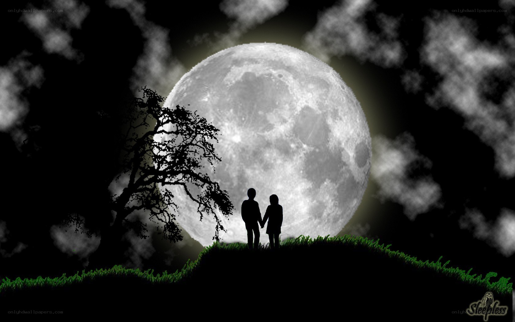 Couple under the full moon