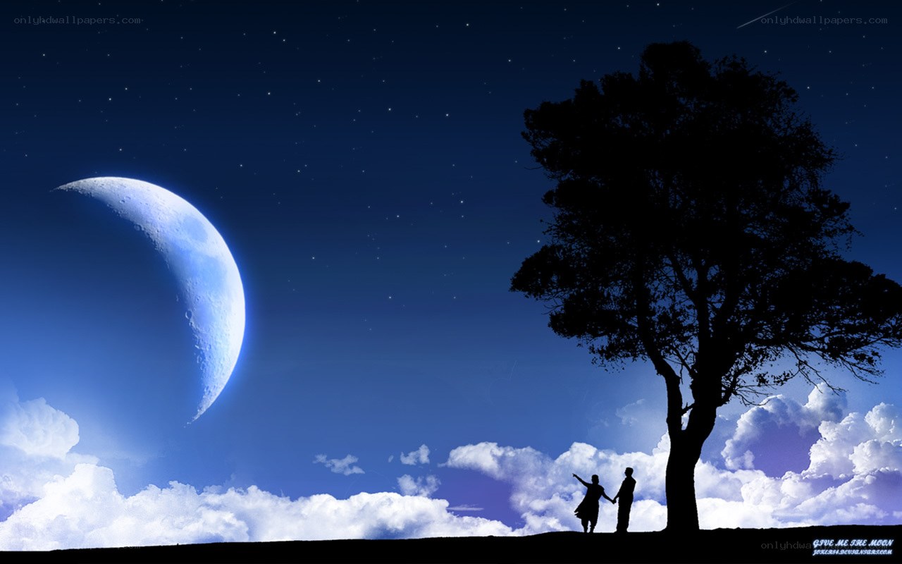 Couple under the moonlight