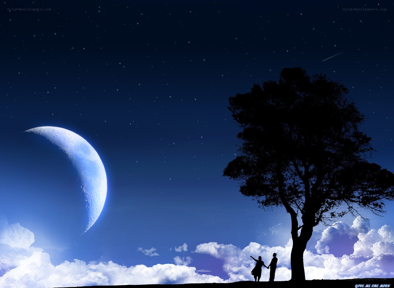Couple under the moonlit sky