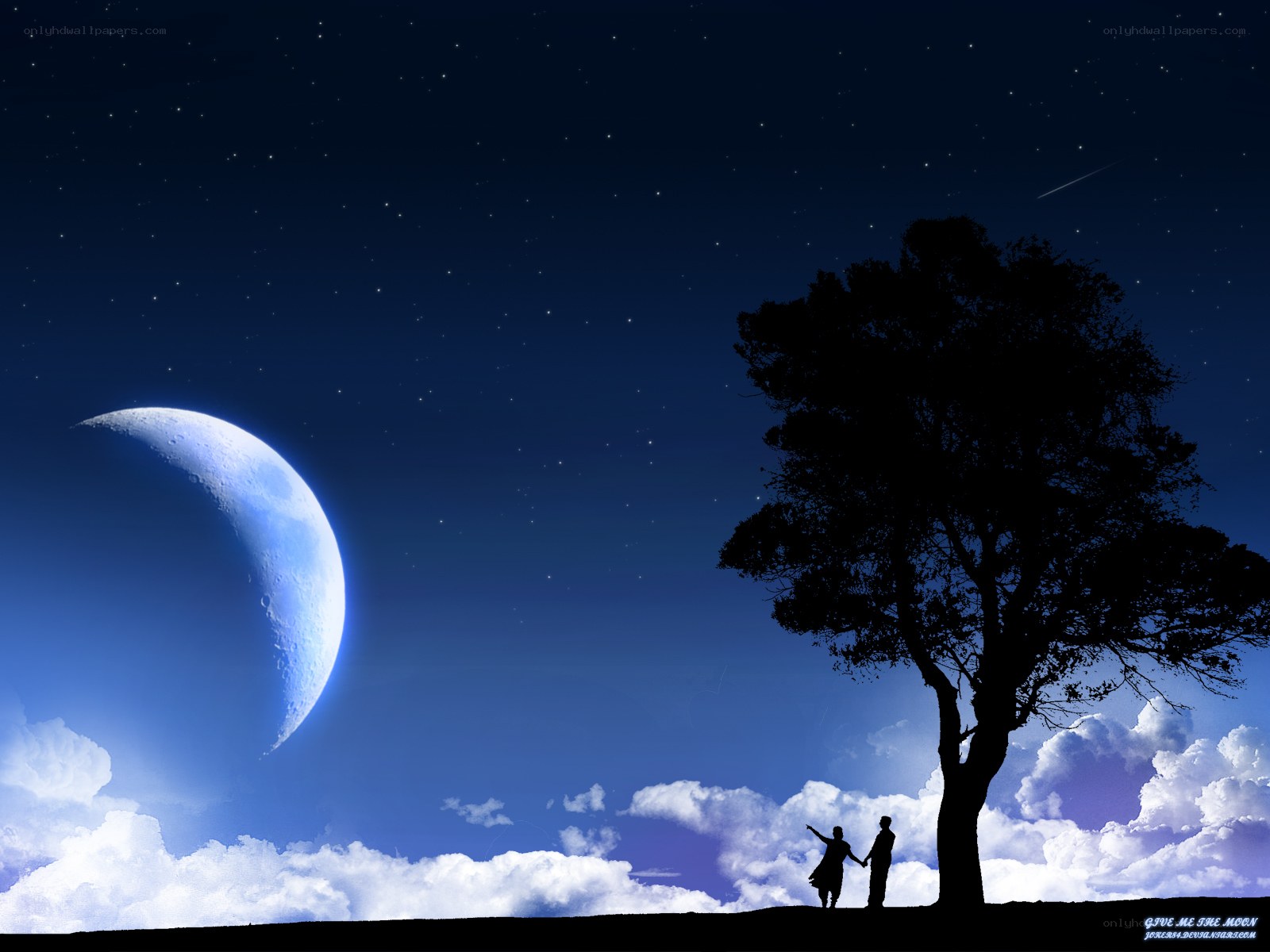 Couple under the moonlit sky