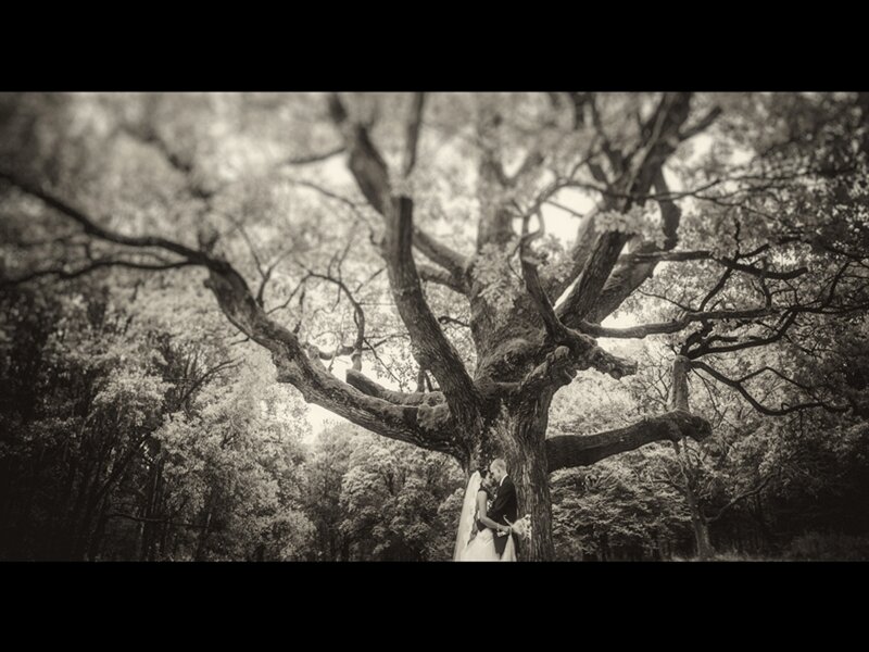 Couple under Tree — Black
