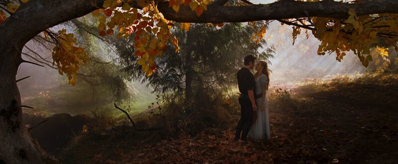 Couple under Tree