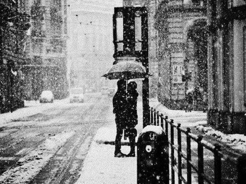 Couple under Umbrella — Black, Cold
