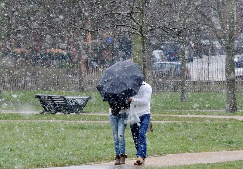 Couple under Umbrella — Green, Cold