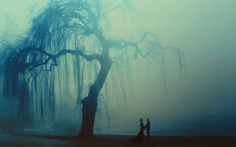 Couple under Willow Tree