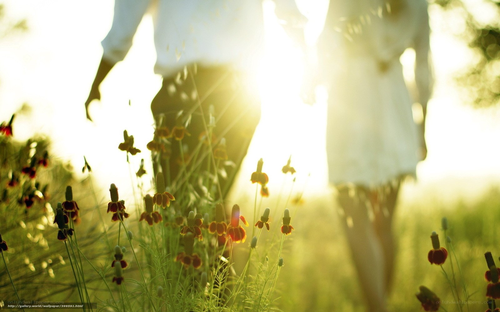 Couple walking in a flower field