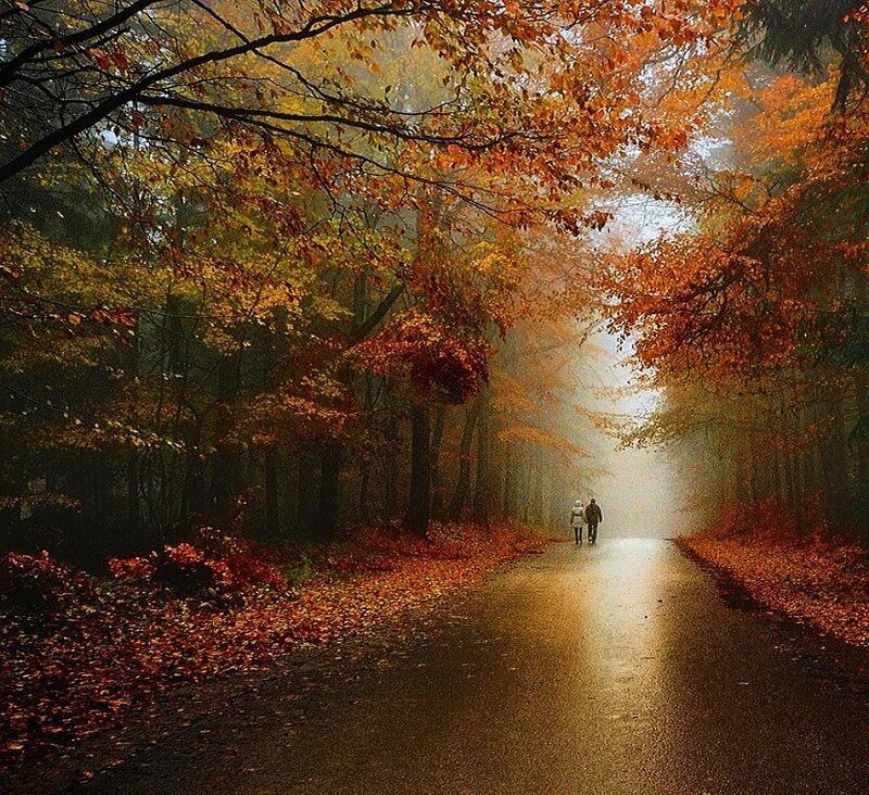 Couple walking in autumn forest