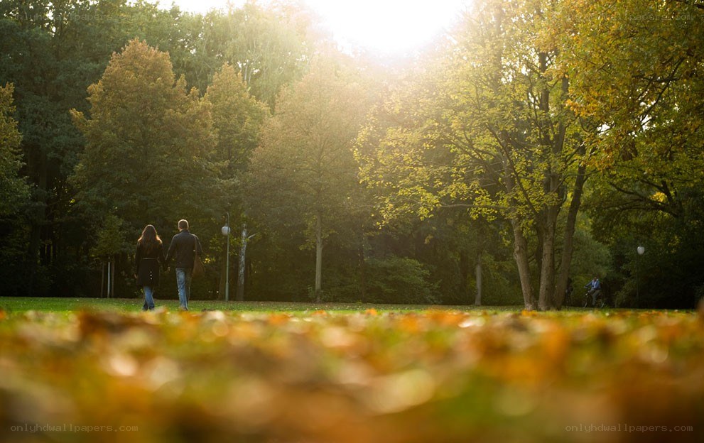 Couple walking in autumn park