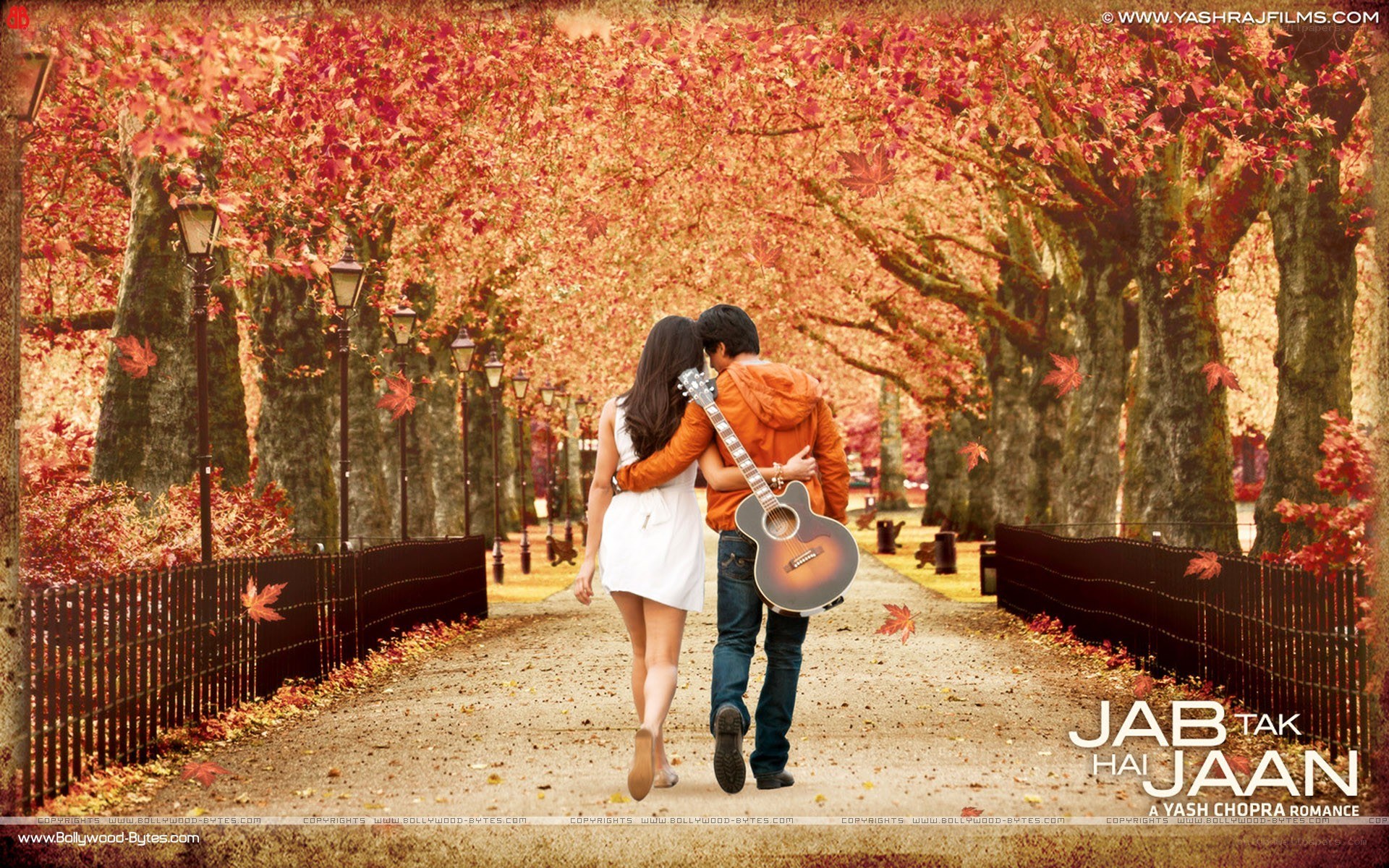 Couple walking in autumn park
