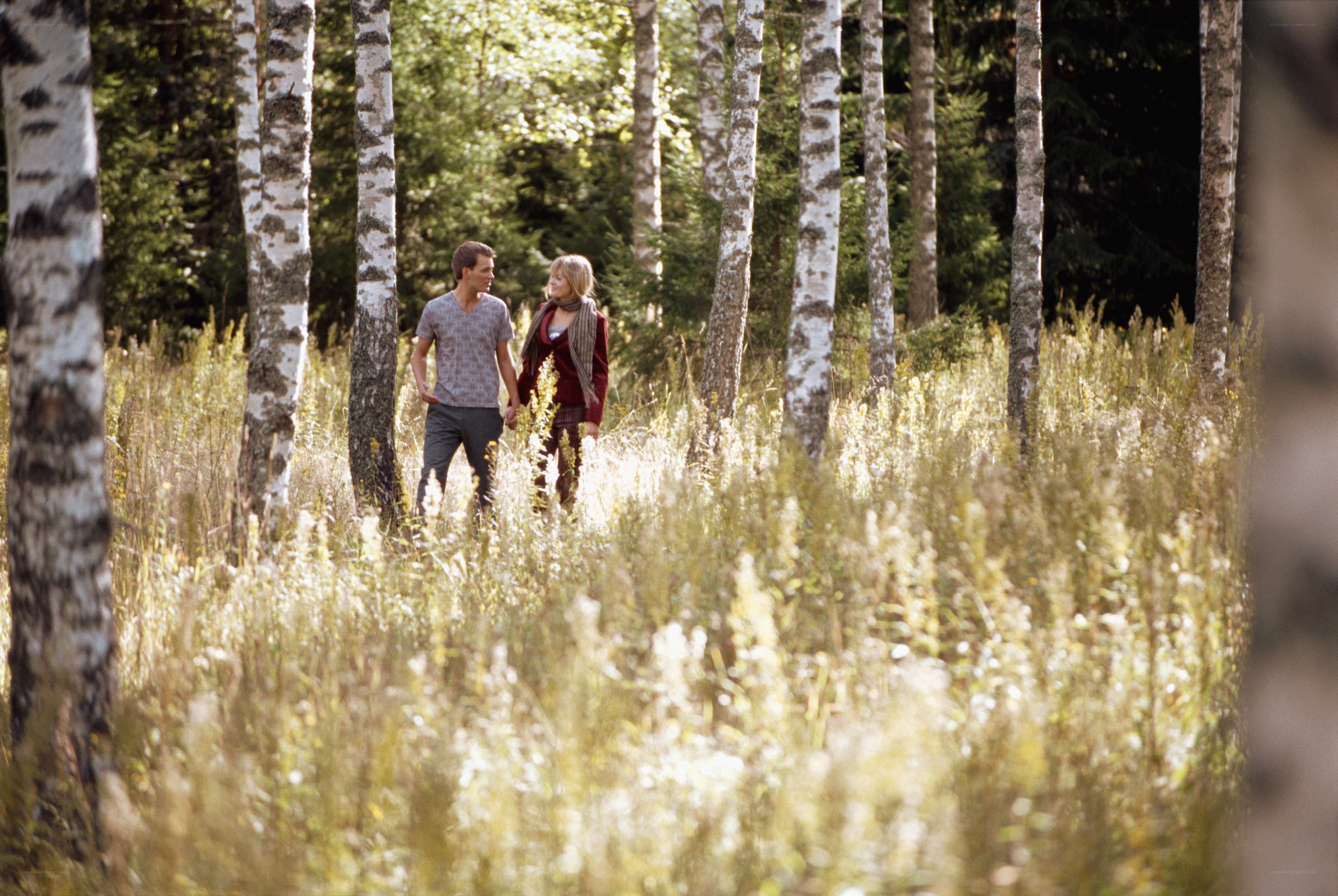 Couple walking in birch forest