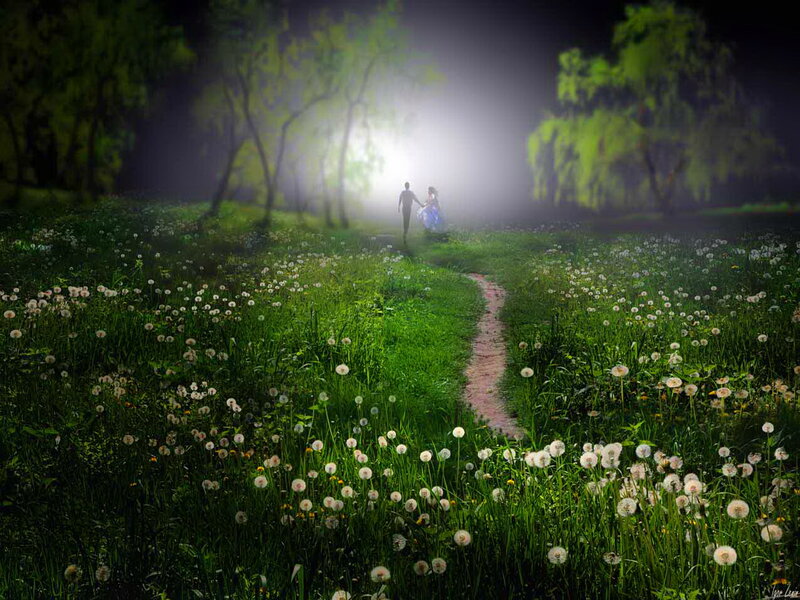 Couple Walking in Field — Green