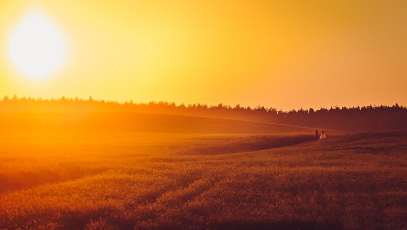 Couple Walking in Field — Orange, Serene