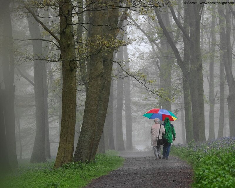 Couple walking in foggy forest