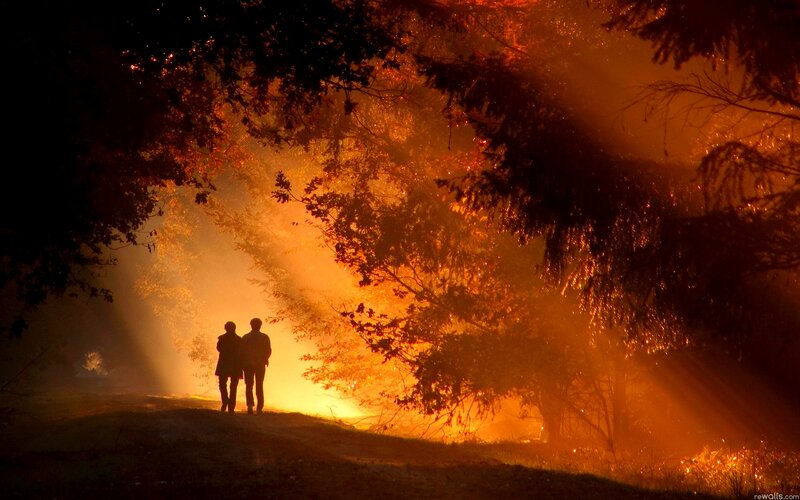 Couple Walking in Forest — Orange