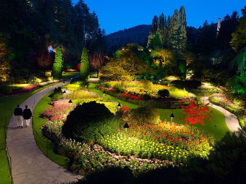 Couple Walking in Garden — Green, Serene, Night, Photograph