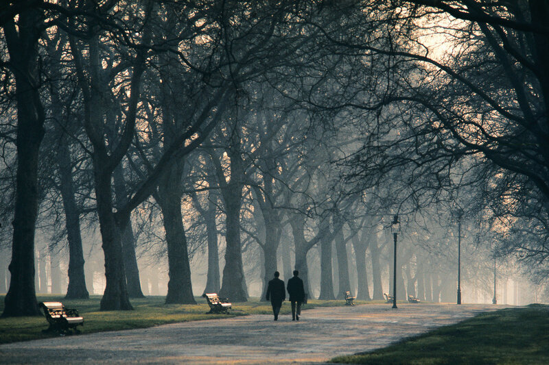 Couple walking in misty park