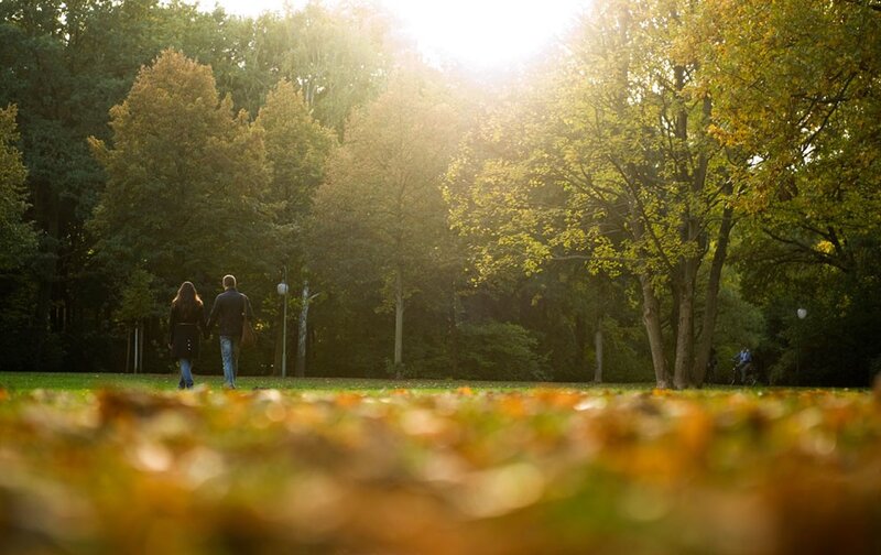 Couple Walking in Park — Green, Serene