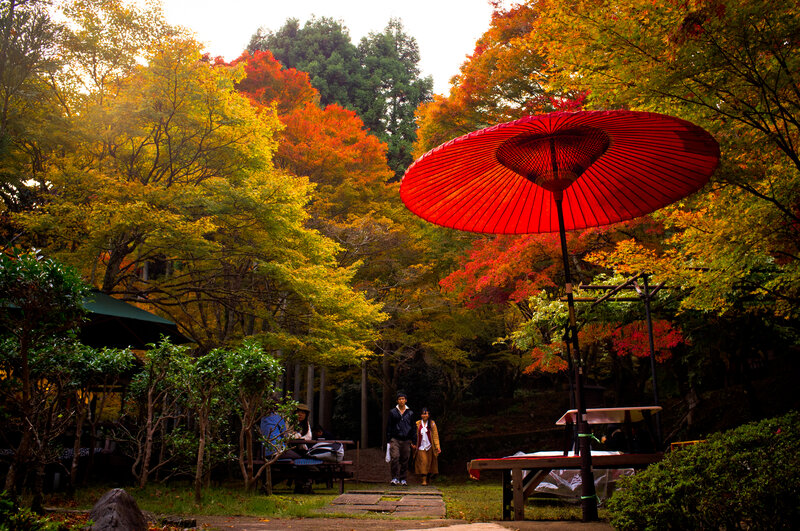 Couple Walking in Park — Red