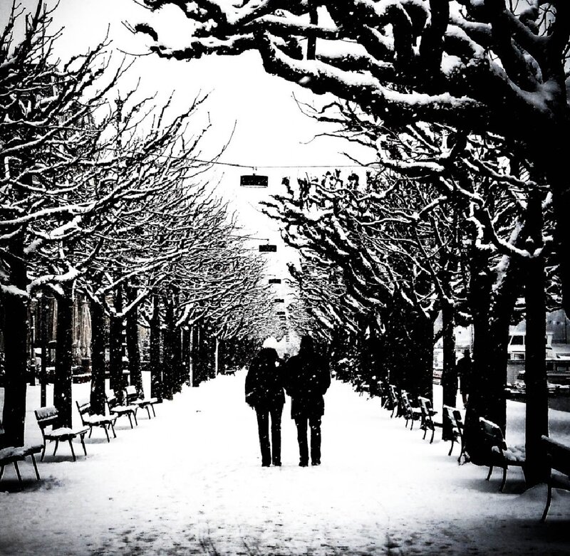 Couple Walking in Snow — Black, Serene