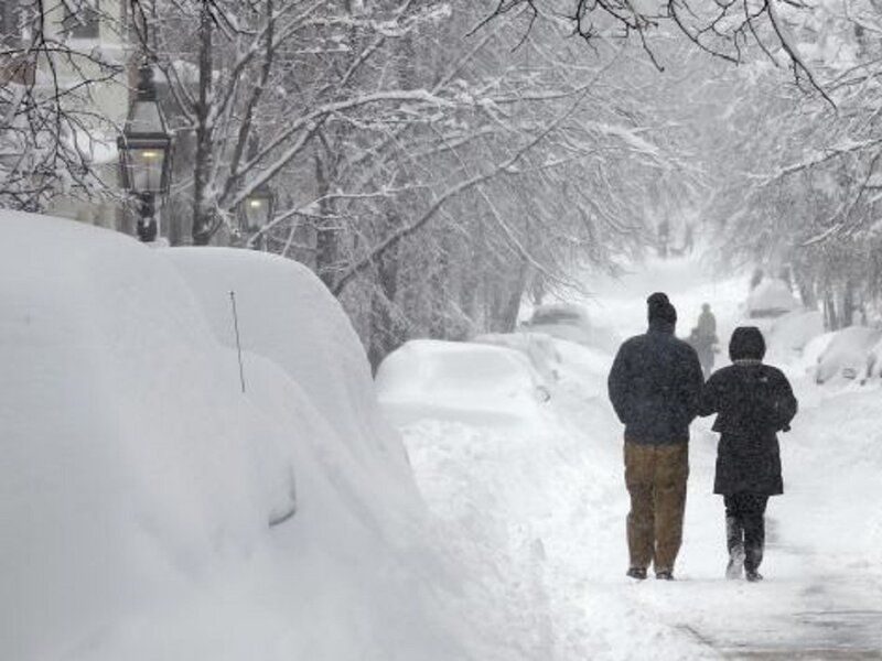 Couple Walking in Snow — White, Cold, Winter, Photograph, Trees