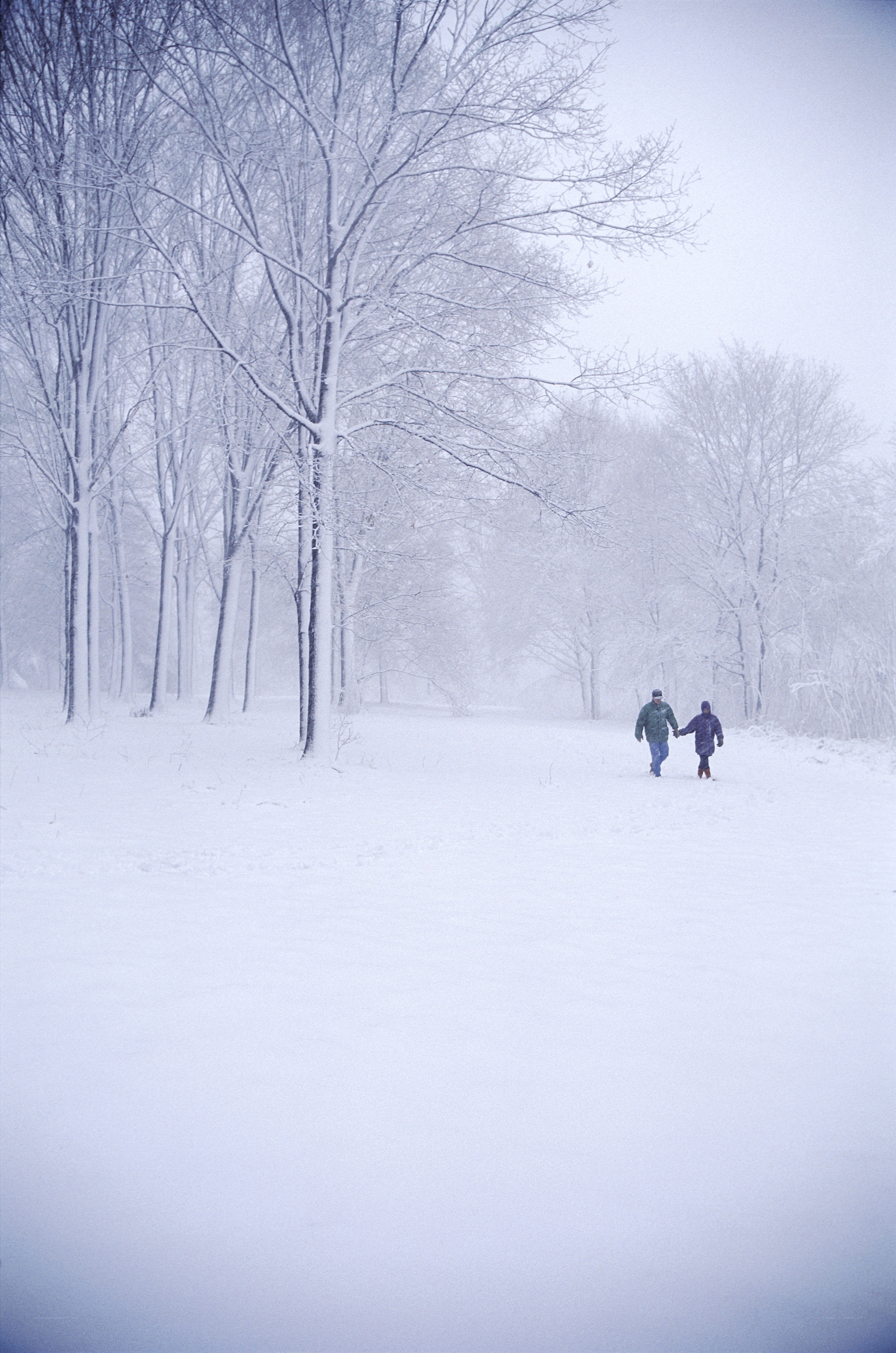 Couple walking in snowy forest
