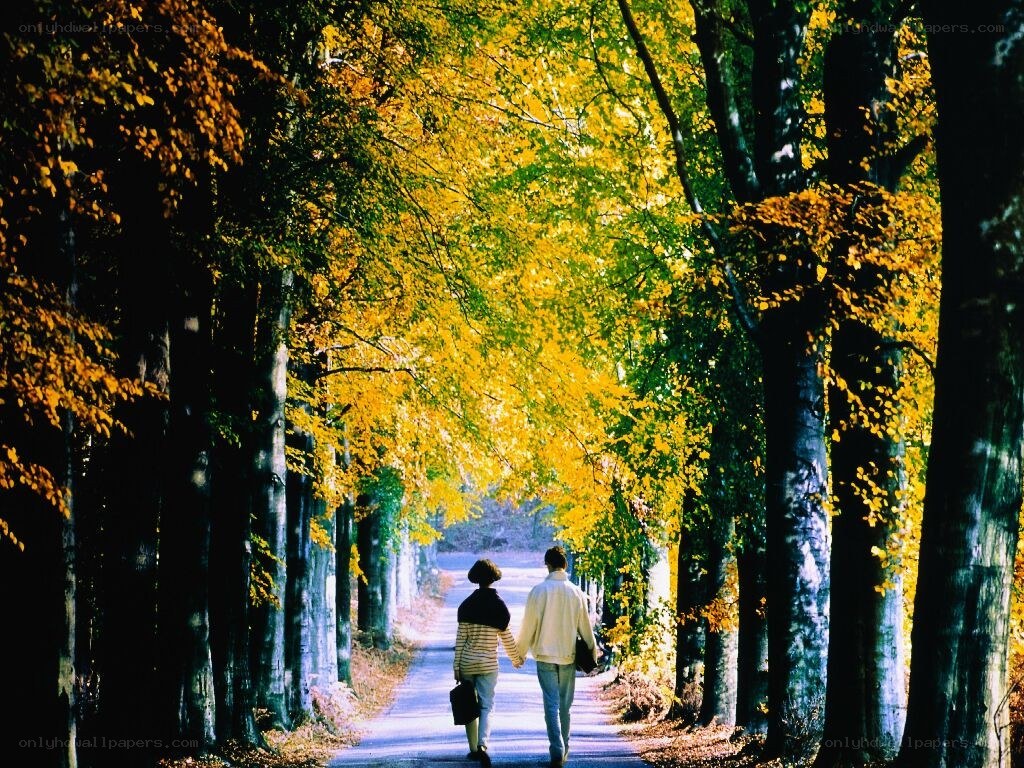 Couple walking on autumn path