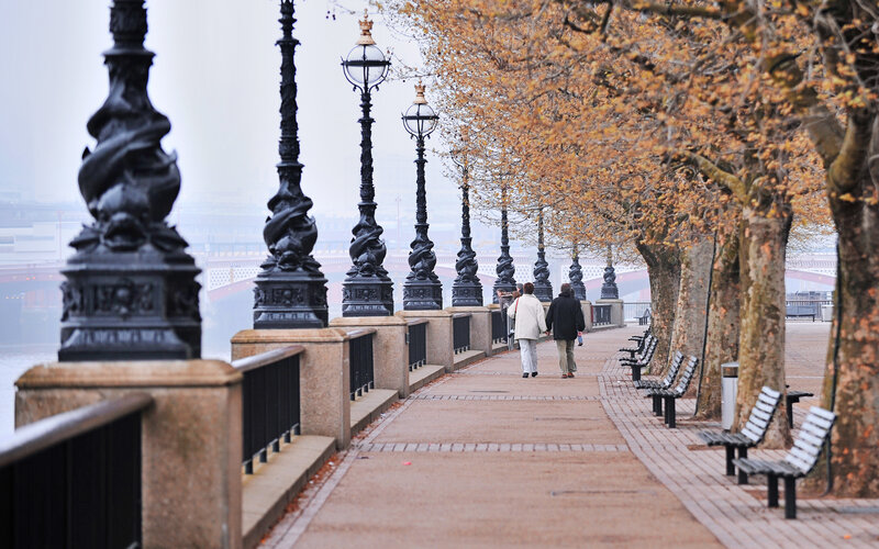 Couple Walking on Path — Brown, Calm