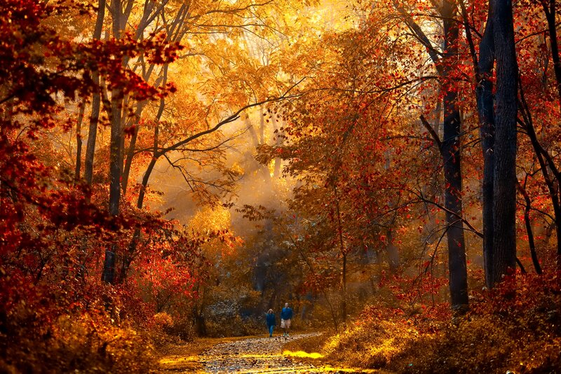 Couple Walking on Path — Orange
