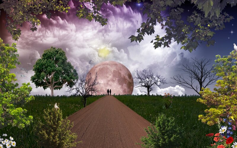 Couple Walking on Path — Purple, Dreamy