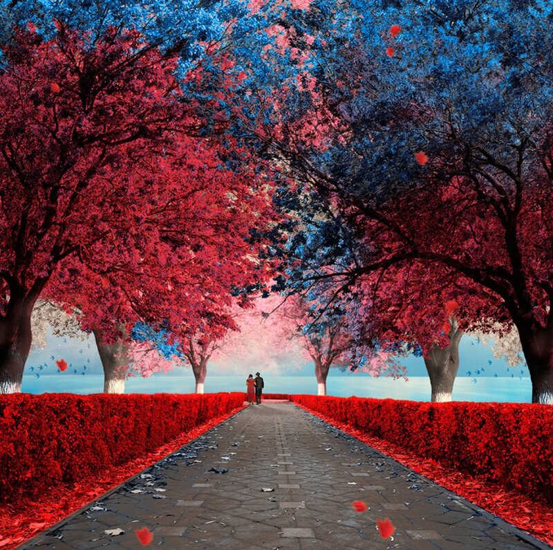 Couple Walking on Path — Red, Dreamy