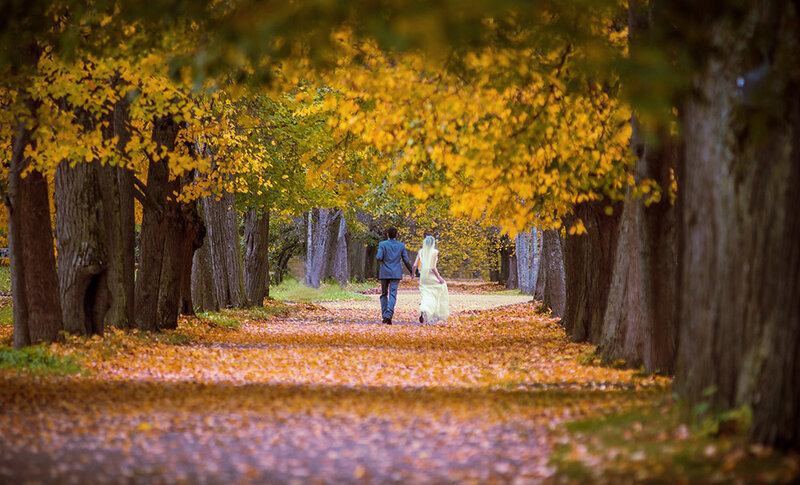 Couple Walking on Path — Yellow, Serene, Autumn