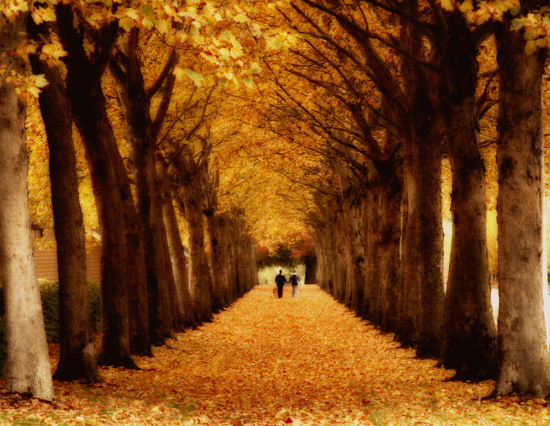 Couple Walking on Path — Yellow