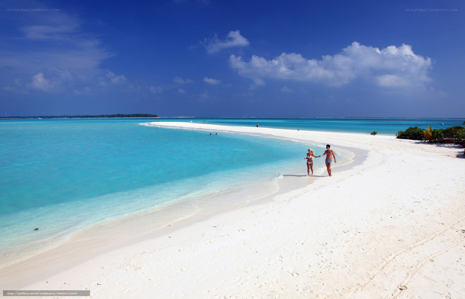 Couple walking on tropical beach