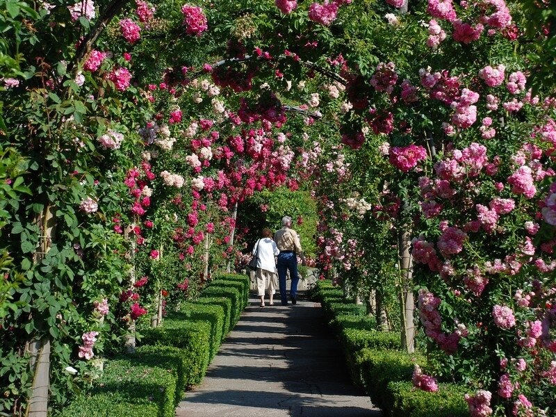 Couple Walking under Archway