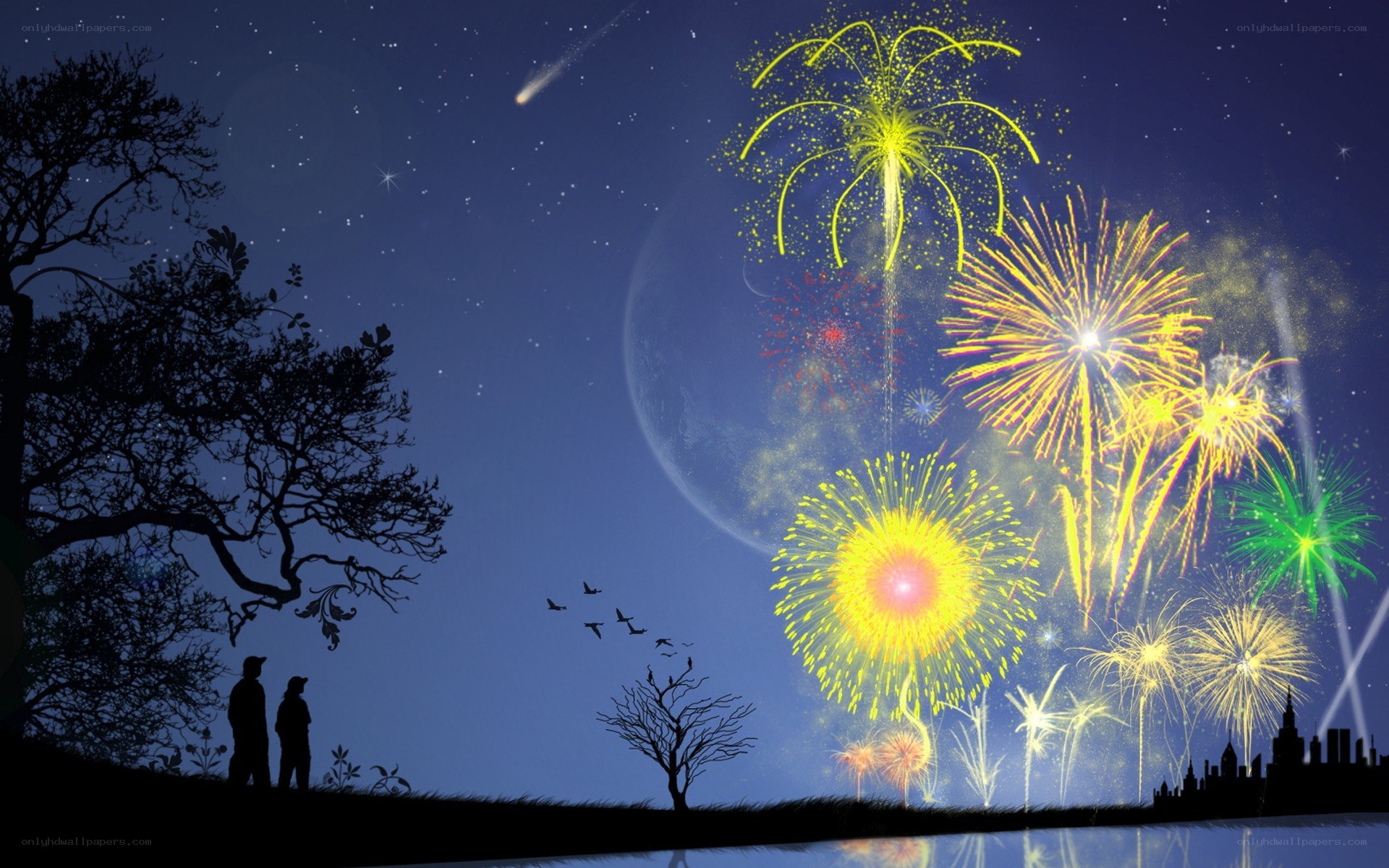 Couple watching fireworks at night